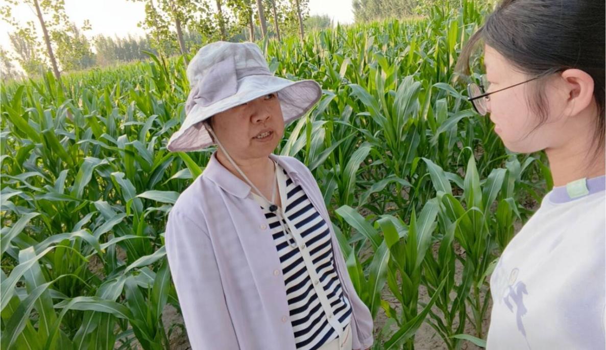 探寻乡土新变，解码家乡乡村振兴发现基因