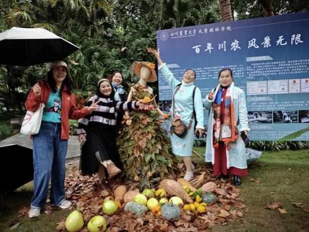 K1体育参加2025年成都人民公园菊展暨插花展