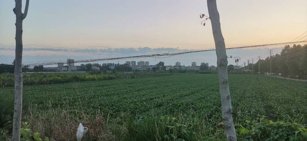 探寻乡土新变，解码家乡乡村振兴发现基因